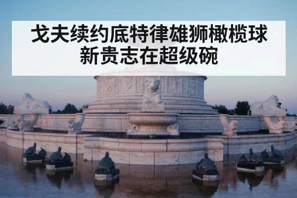 戈夫续约底特律雄狮橄榄球新贵志在超级碗