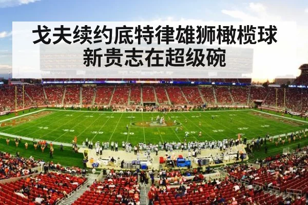 NFL football stadium
